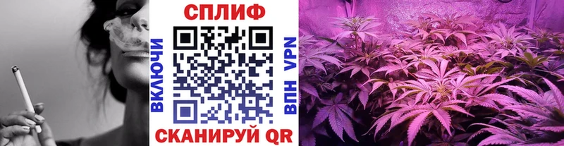 Купить где  Новотроицк  Каннабис SATIVA & INDICA 